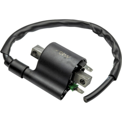 Bobina de Ignição Titan 150 Mix/Flex 09/13 CG CG - Imagem 1