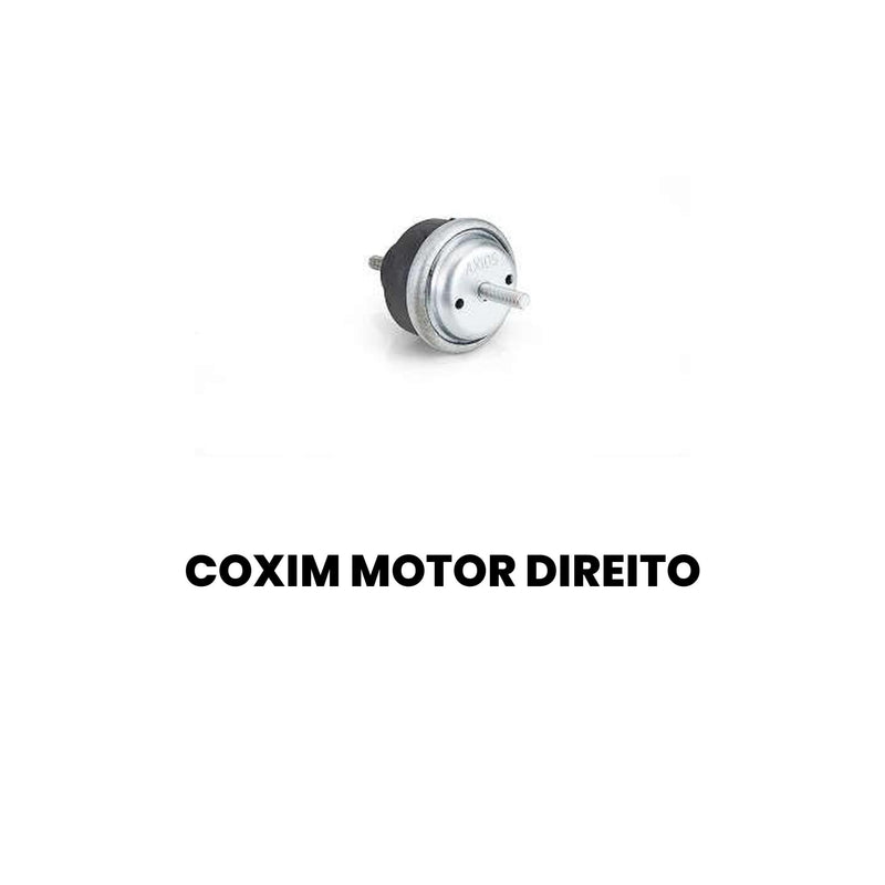 Coxim Motor Dir Citroen Berlingo Xsara Picasso 1.6 1.8 2.0 1 - Imagem 2
