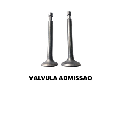 VALVULA ADMISSAO Cargo 2000-2007 - Imagem 2