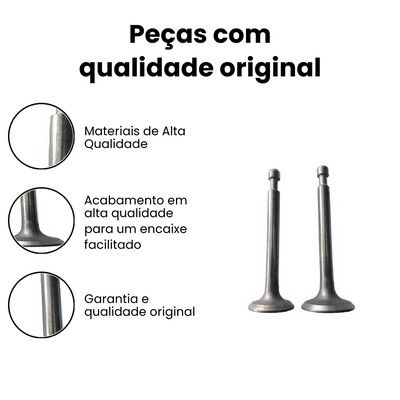 VALVULA ADMISSAO Cargo 2000-2007 - Imagem 3