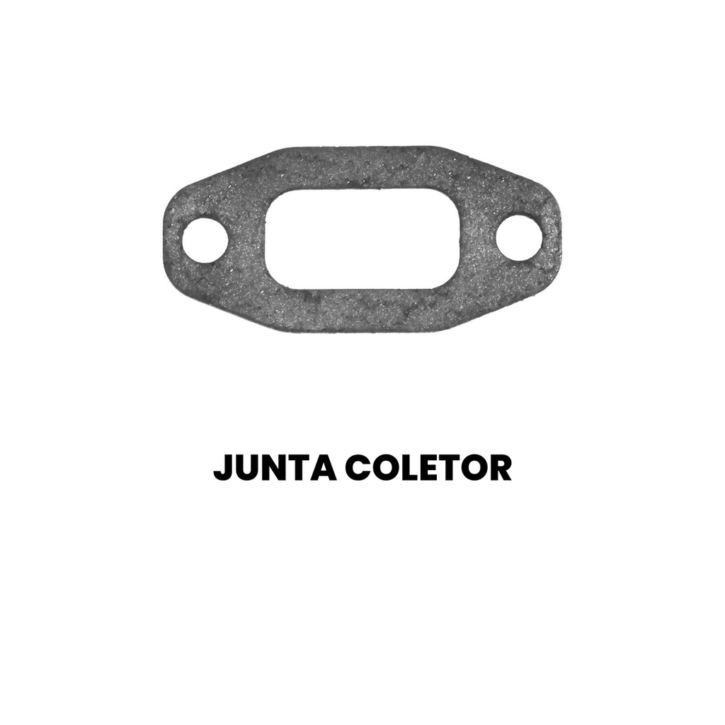 Junta do Coletor SABO Cargo 11-130 - Imagem 2