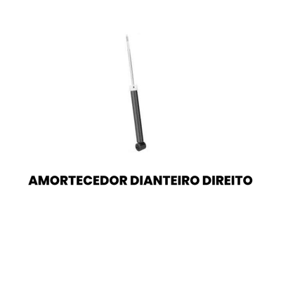 Amortecedor Traseiro Peugeot 307 C4 Direito/Esquerdo - Imagem 2