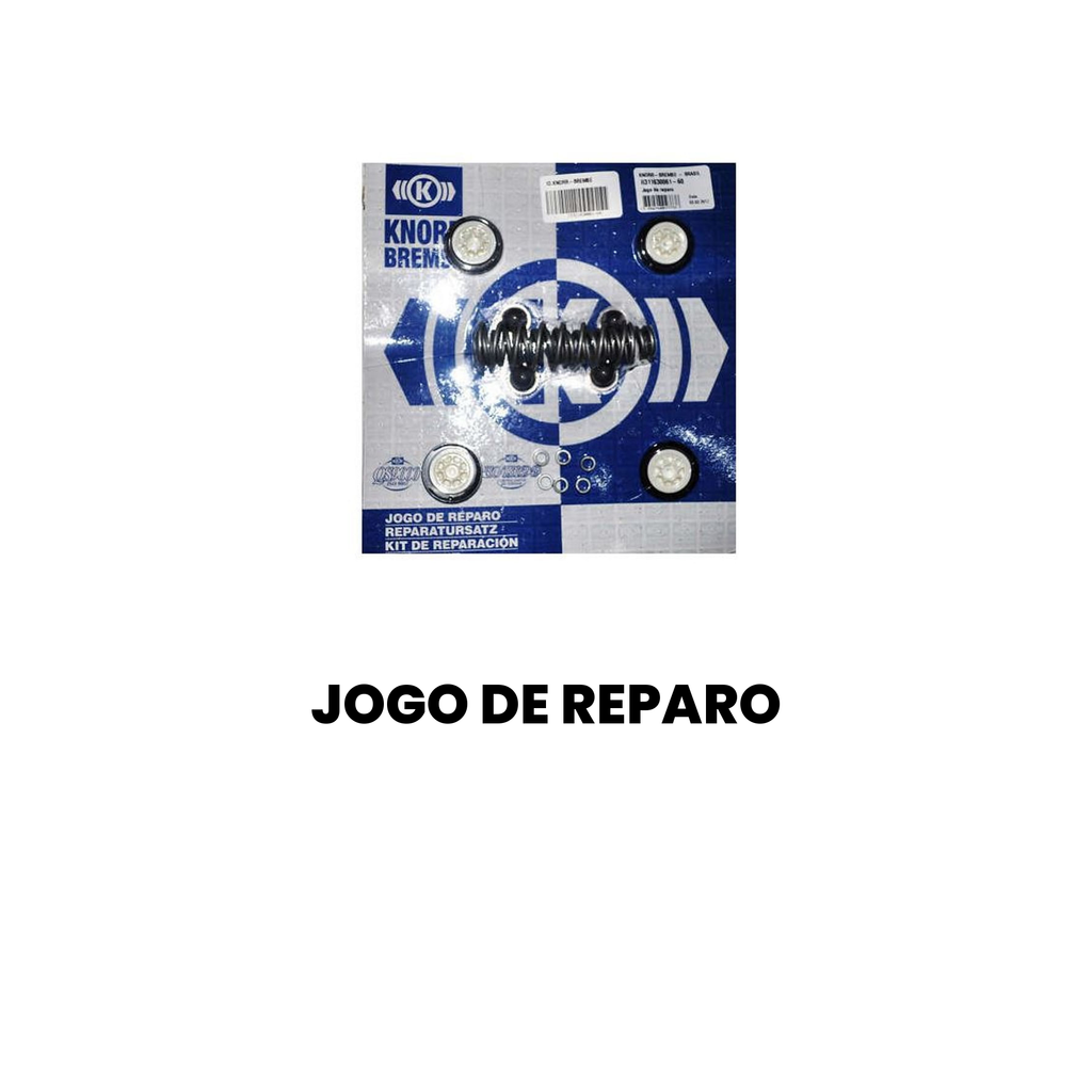 Jogo de Reparo Cargo/Constellation 2008-2015 - Imagem 2