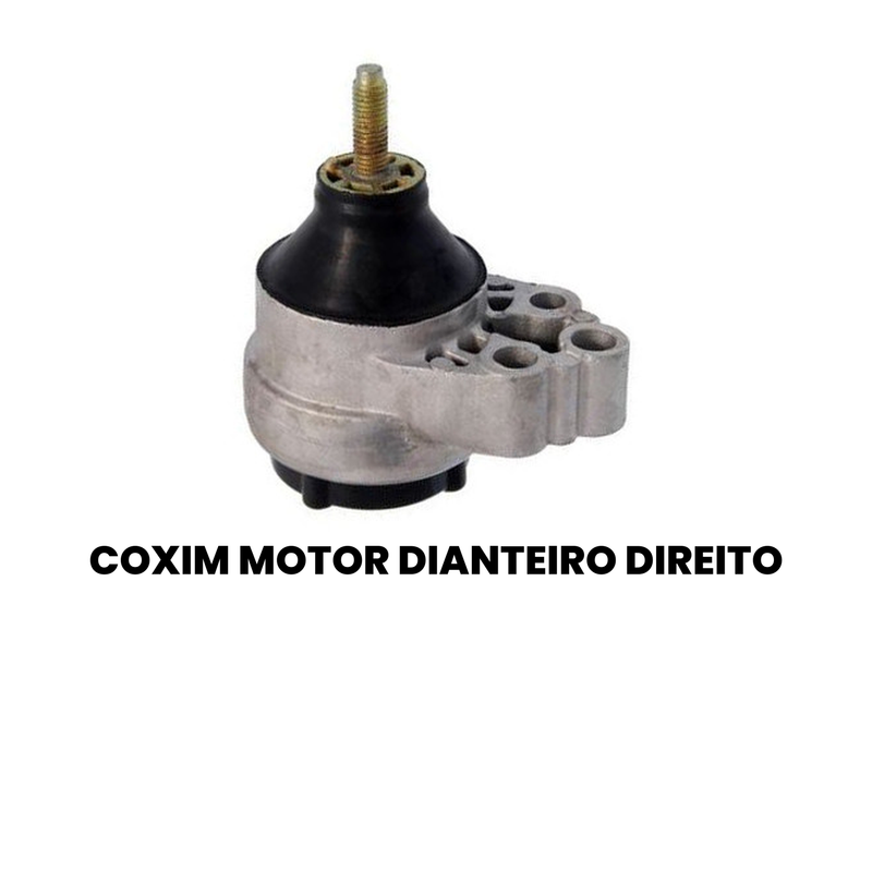 Coxim Motor Diant Dir Ford EcoSport 1.5 2.0 Flex 2003 a 2021 - Imagem 2