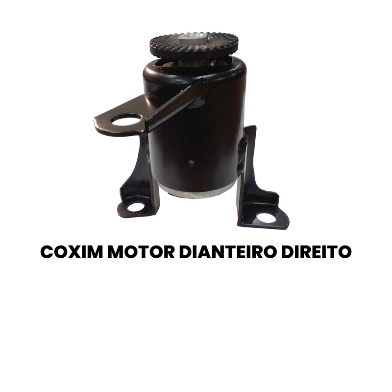 Coxim Motor Diant Dir Ford EcoSport 1.0 1.5 1.6 2.0 Flex 200 - Imagem 2