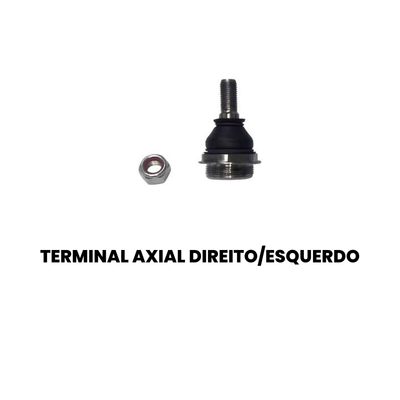 Pivo Dianteiro Direito/Esquerdo Citroen 307 - Imagem 2