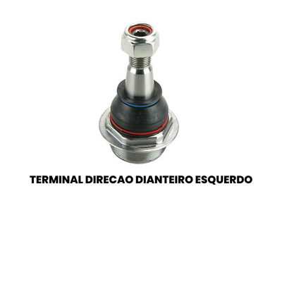 Pivo Suspensão Dianteiro Direito Inferior Renault Master - Imagem 2