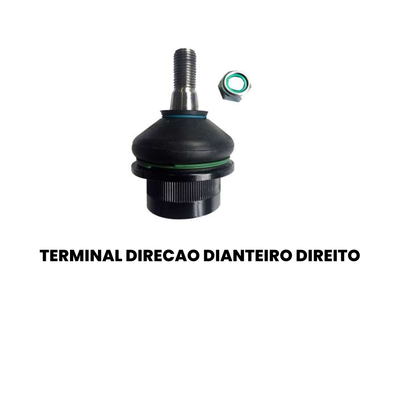 Pivô Suspensão Dianteiro Direito/Esquerdo Superior Master - Imagem 2