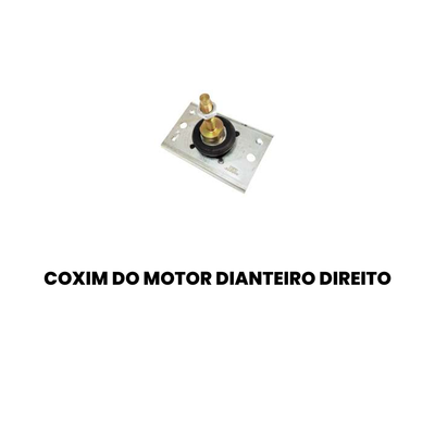 Coxim Motor Renault Master Dir Esq - Imagem 2