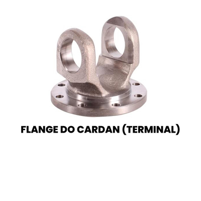 Flange Cardan (Terminal) Cargo/Constellation 2000-2010 - Imagem 2