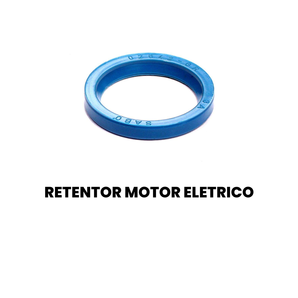RETENTOR MOTOR ELETRICO Cargo 2000-2009 - Imagem 2