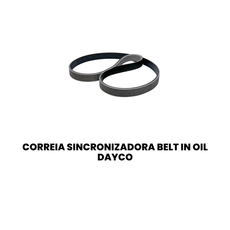 Correia Sincronizadora Belt in Oil Dayco VW Amarok 2.0 TDI 2 - Imagem 2