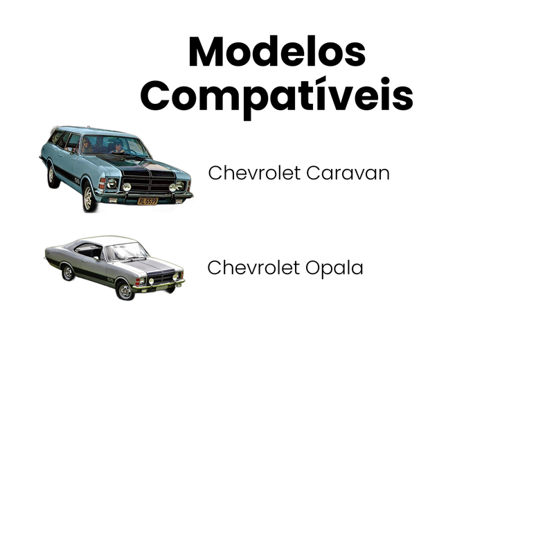 Bomba Óleo Chevrolet Opala 1976-1992 Caravan 1984-1994 - Imagem 4