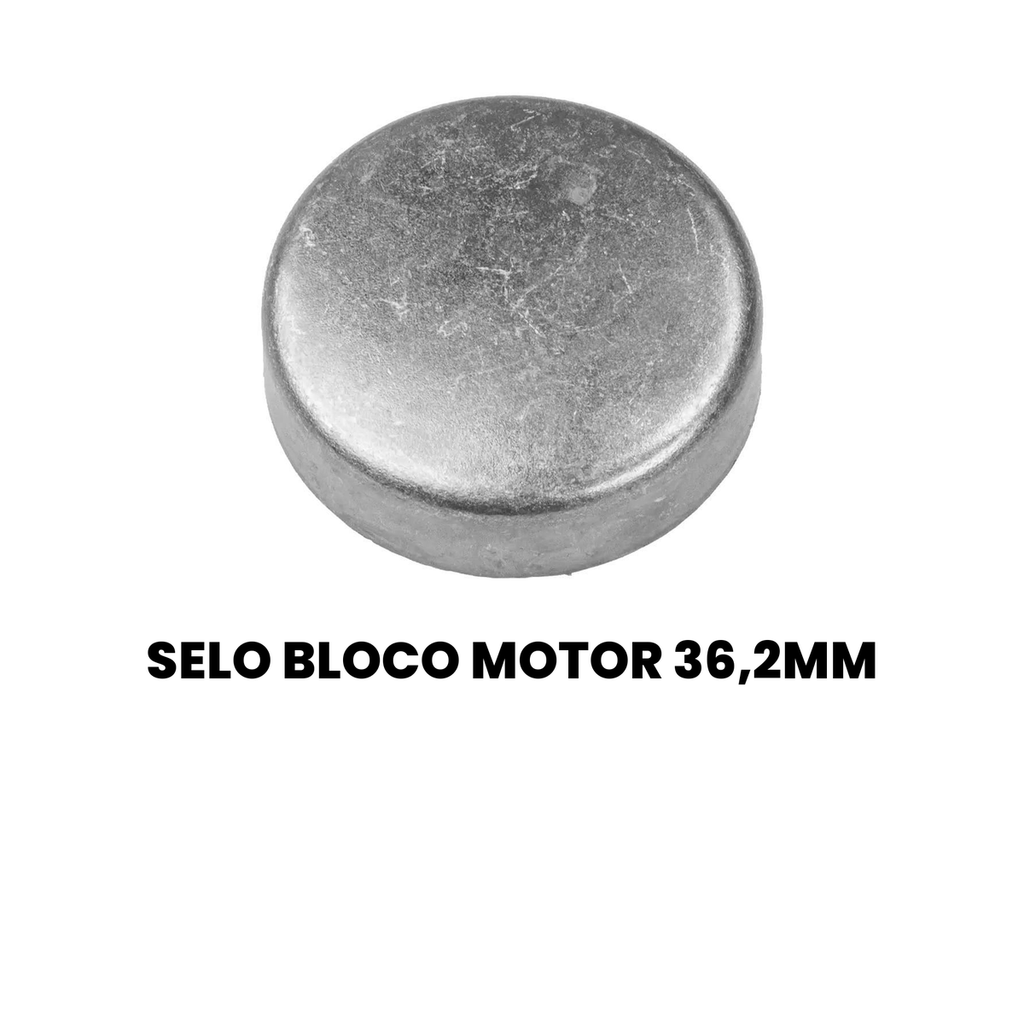 SELO DO BLOCO DO MOTOR 36,2MM - MONZA MONZA - Imagem 2
