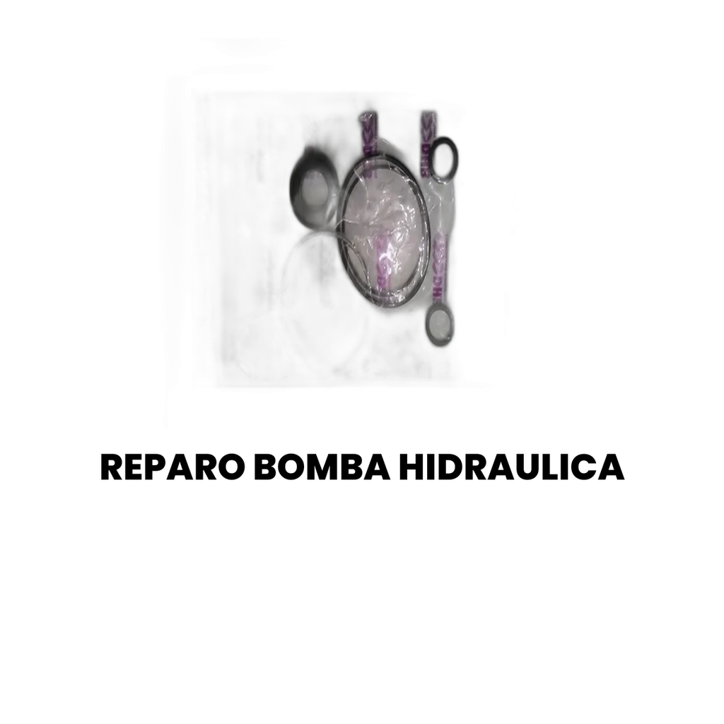 Reparo Bomba Hidráulica MAHLE - Todos os Modelos - Imagem 2