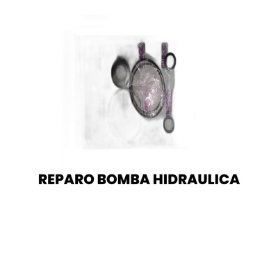 Reparo Bomba Hidráulica MAHLE - Todos os Modelos - Imagem 2