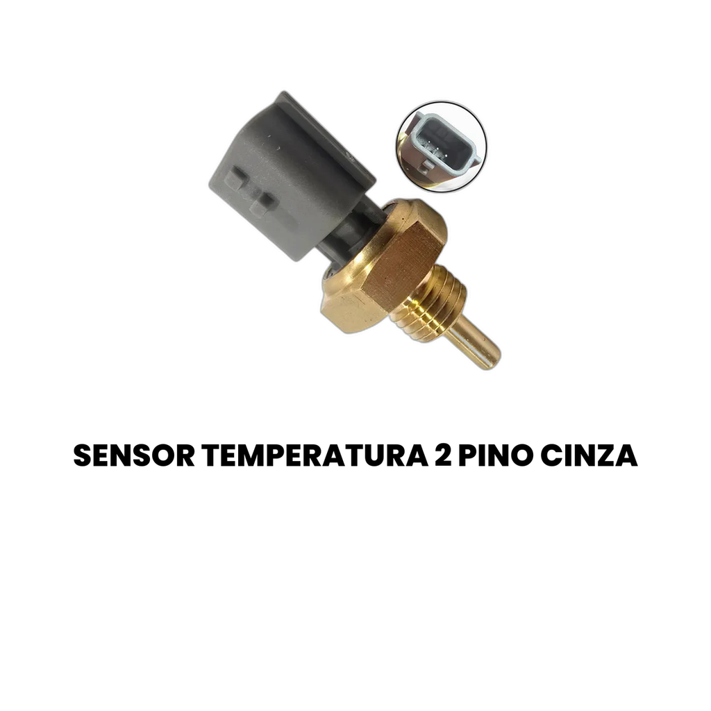 Sensor de Temperatura 2 Pinos Cinza Focus - IGUACU - Imagem 2