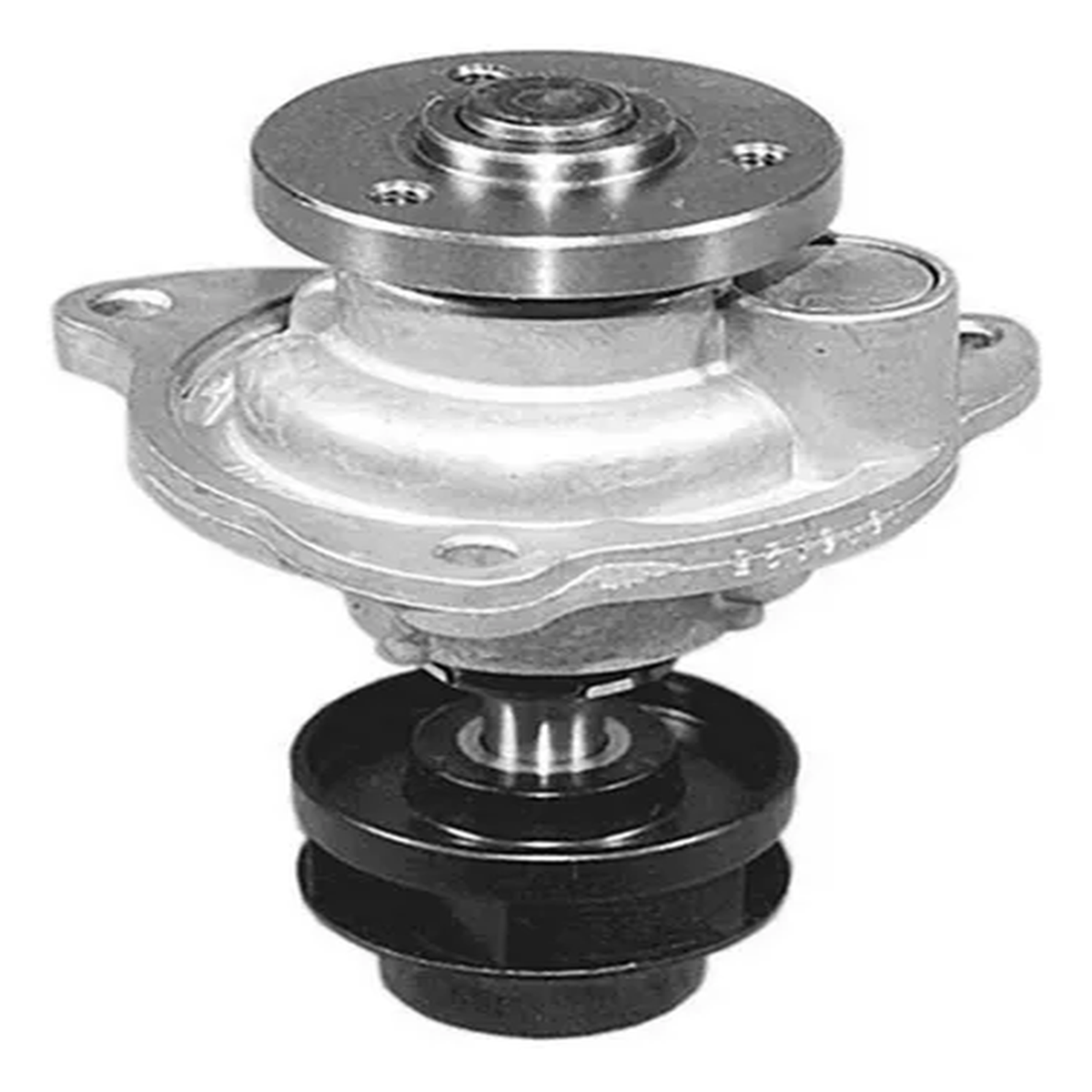 Bomba Água Ford Courier 99-13 Ecosport 03-12 Escort 00-02 Fi