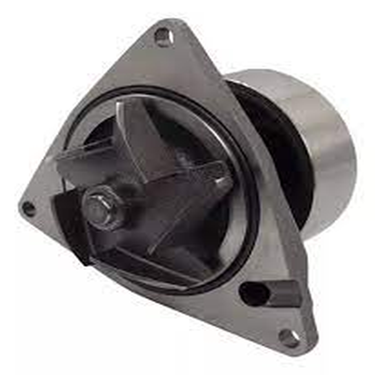 Bomba Água Ford F-250 2001-2018 Cargo 815-E 1317 1517 1717 1
