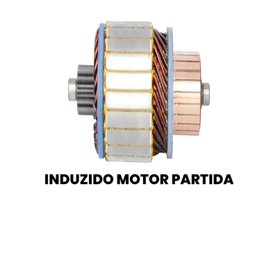 Induzido do Motor de Partida Holland Delivery - AutomaXX - Imagem 2