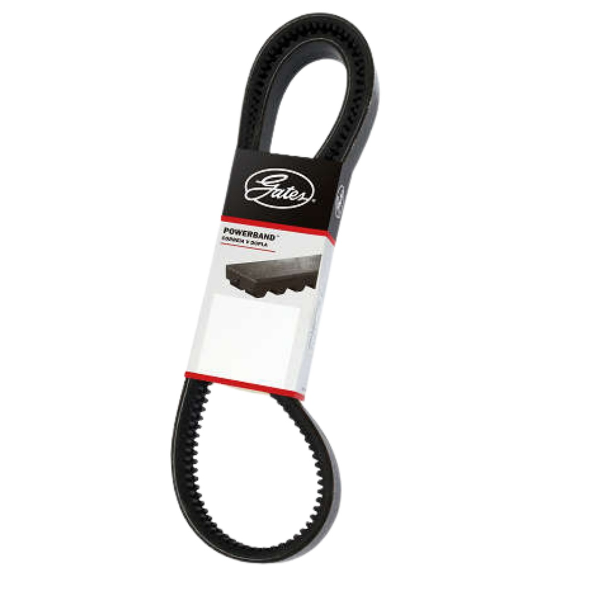 CORREIA EM V DUPLA SCANIA 2/BXS90