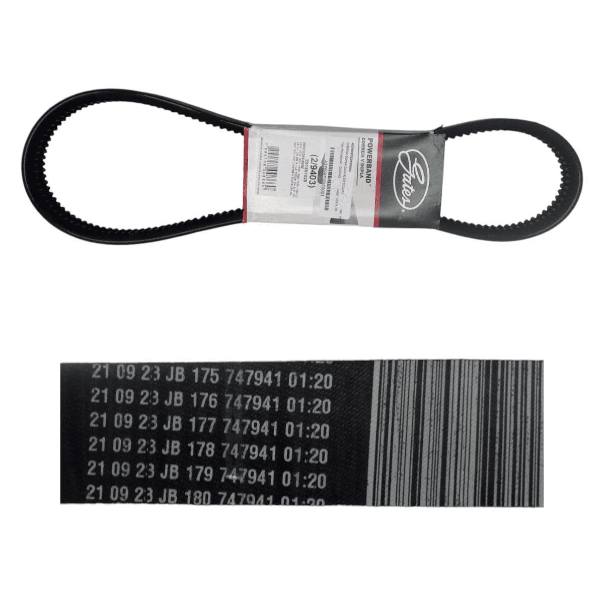 Correia em V Dupla GATES LK OH