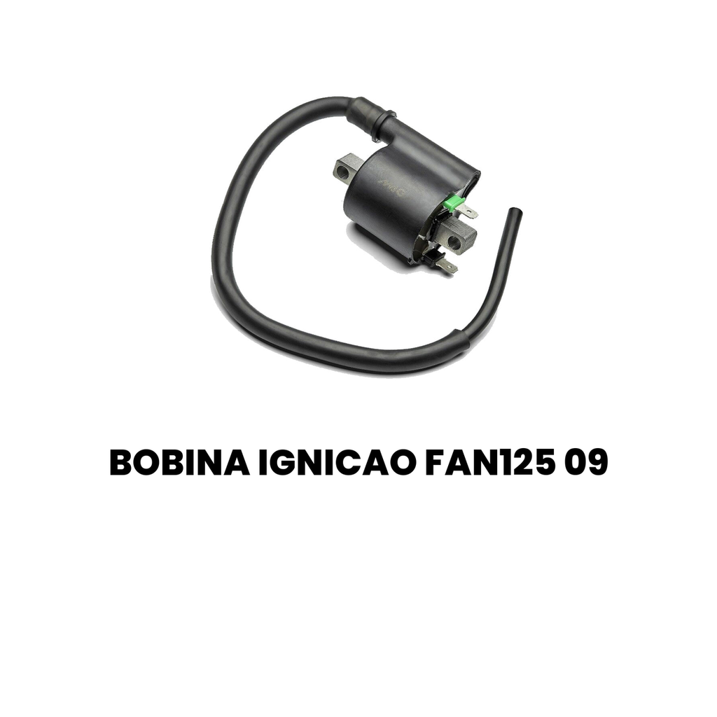 Bobina Ignição Fan 125 09 - CG - Imagem 2