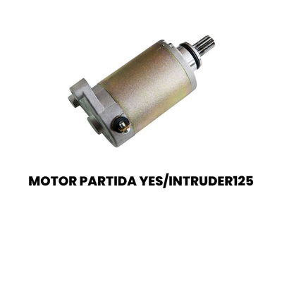 Motor de Partida Yes/Intruder 125 - EN - ZOUIL - Imagem 2
