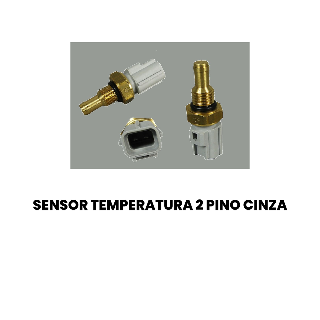 Sensor de Temperatura 2 Pinos Cinza - Ecosport, Ka - Imagem 2