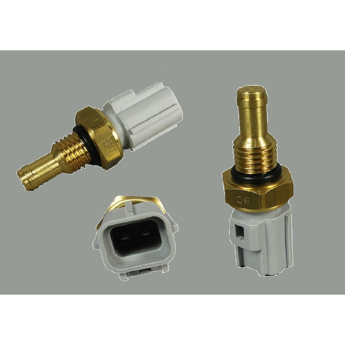 Sensor de Temperatura 2 Pinos Cinza - Ecosport, Ka