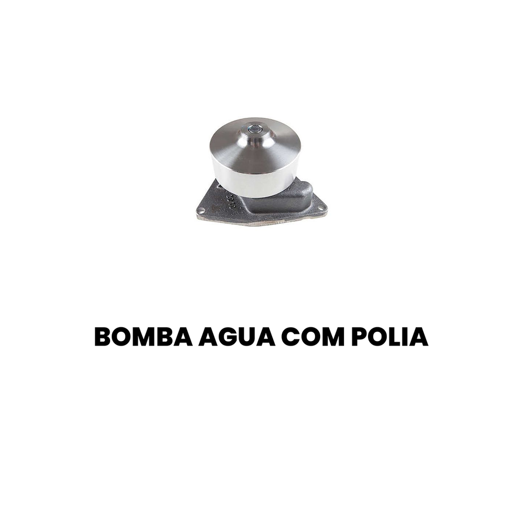 Bomba de Água com Polia INDISA - CONSTELLATION 18.330 - Imagem 2