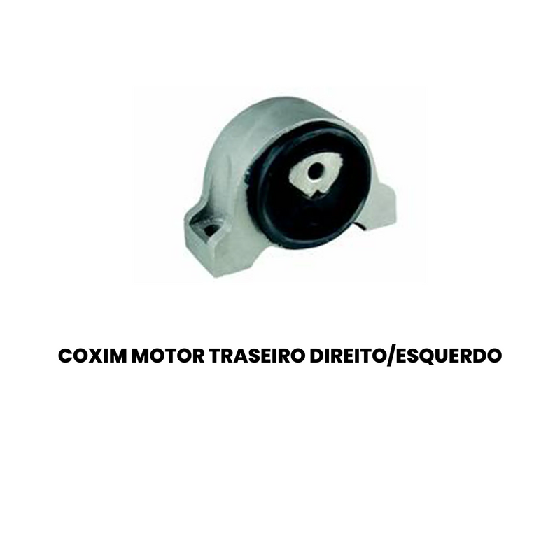 Coxim Motor Tras Dir Esq Fiat Ducato Van Furgao Minibus 2.8 - Imagem 2