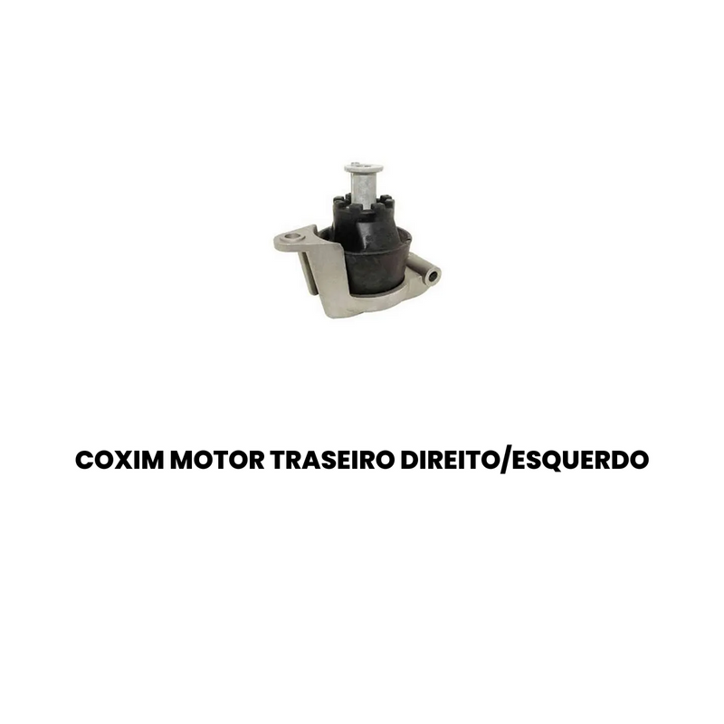 Coxim Motor Tras Dir Esq Opel Astra 1999-2009 Zafira 1999-20 - Imagem 2