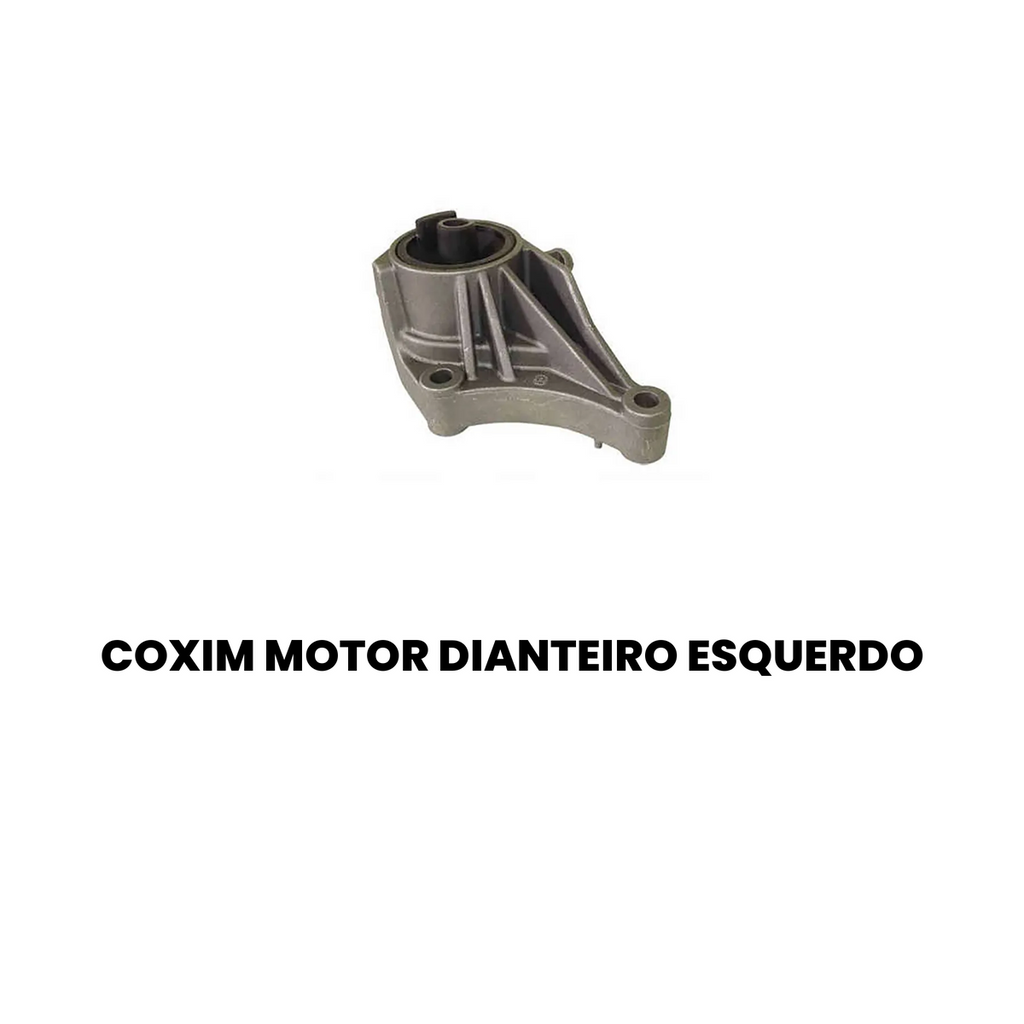 COXIM MOTOR DIANTEIRO ESQUERDO CHEVROLET 521.1916 - Imagem 2