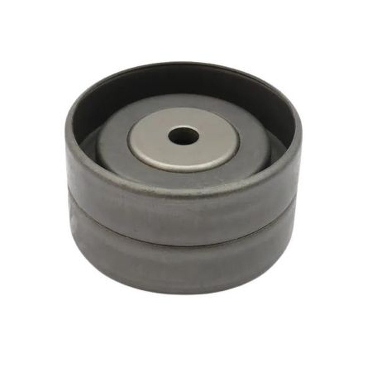 Polia da Correia do Alternador INA - VM VM