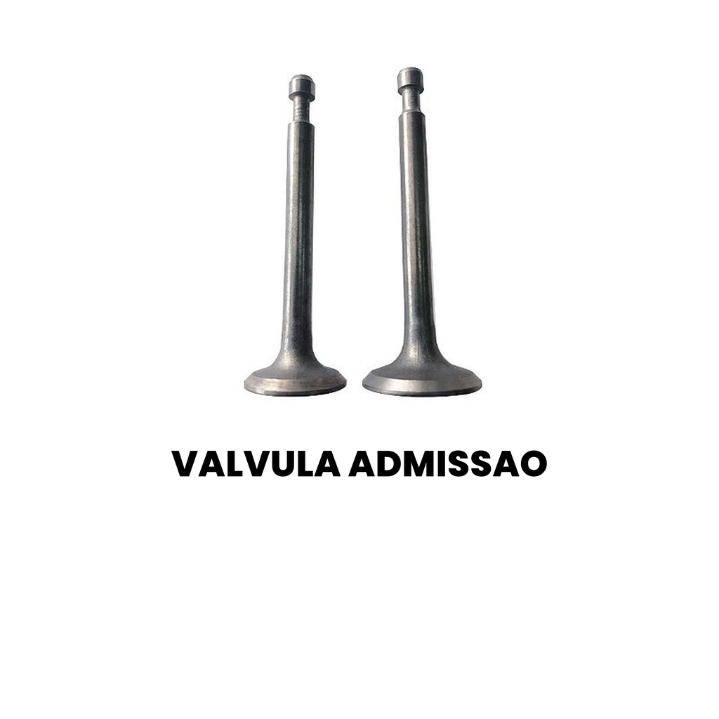 VALVULA ADMISSAO Cargo 2000-2007 - Imagem 2