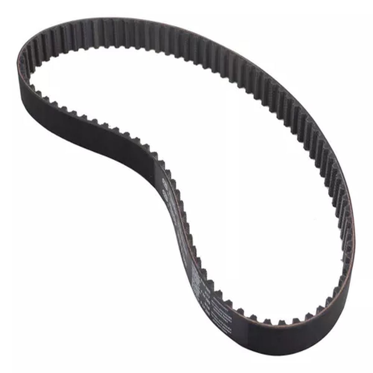 Correia Dentada Master 2006-2013