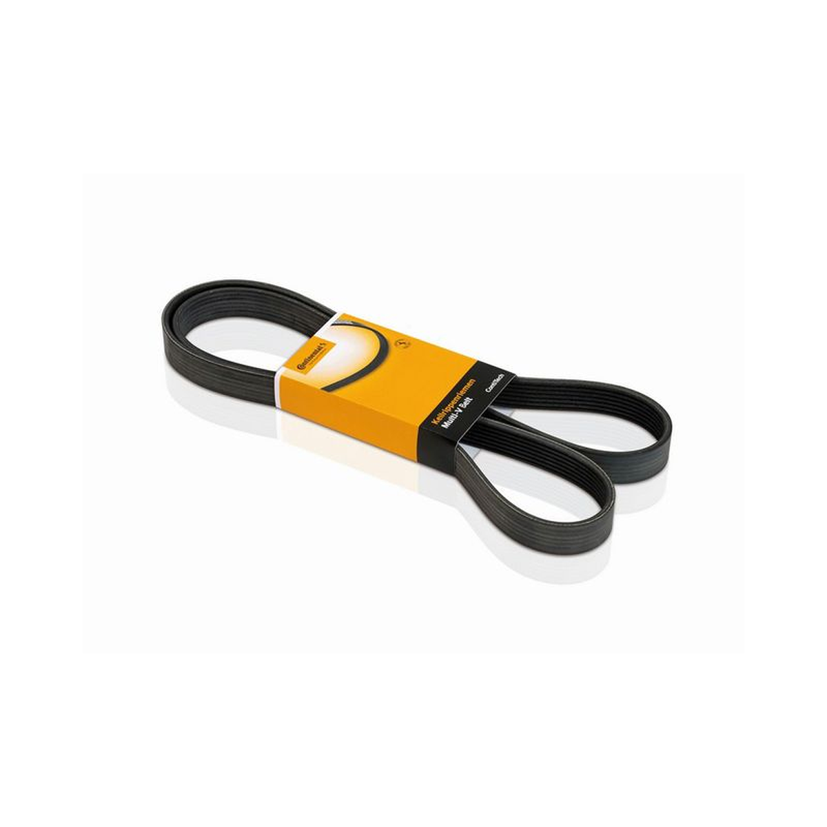 Correia em V 5PK1105 Gates - Logan e Accord