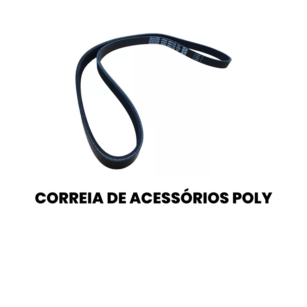 Correia de Acessórios Poli-V BMW Série 8 850i 1992-1995 - Imagem 2