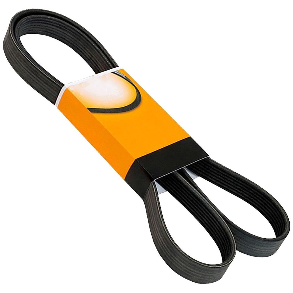 Correia Multi V 5PK1781 Contitech Montana