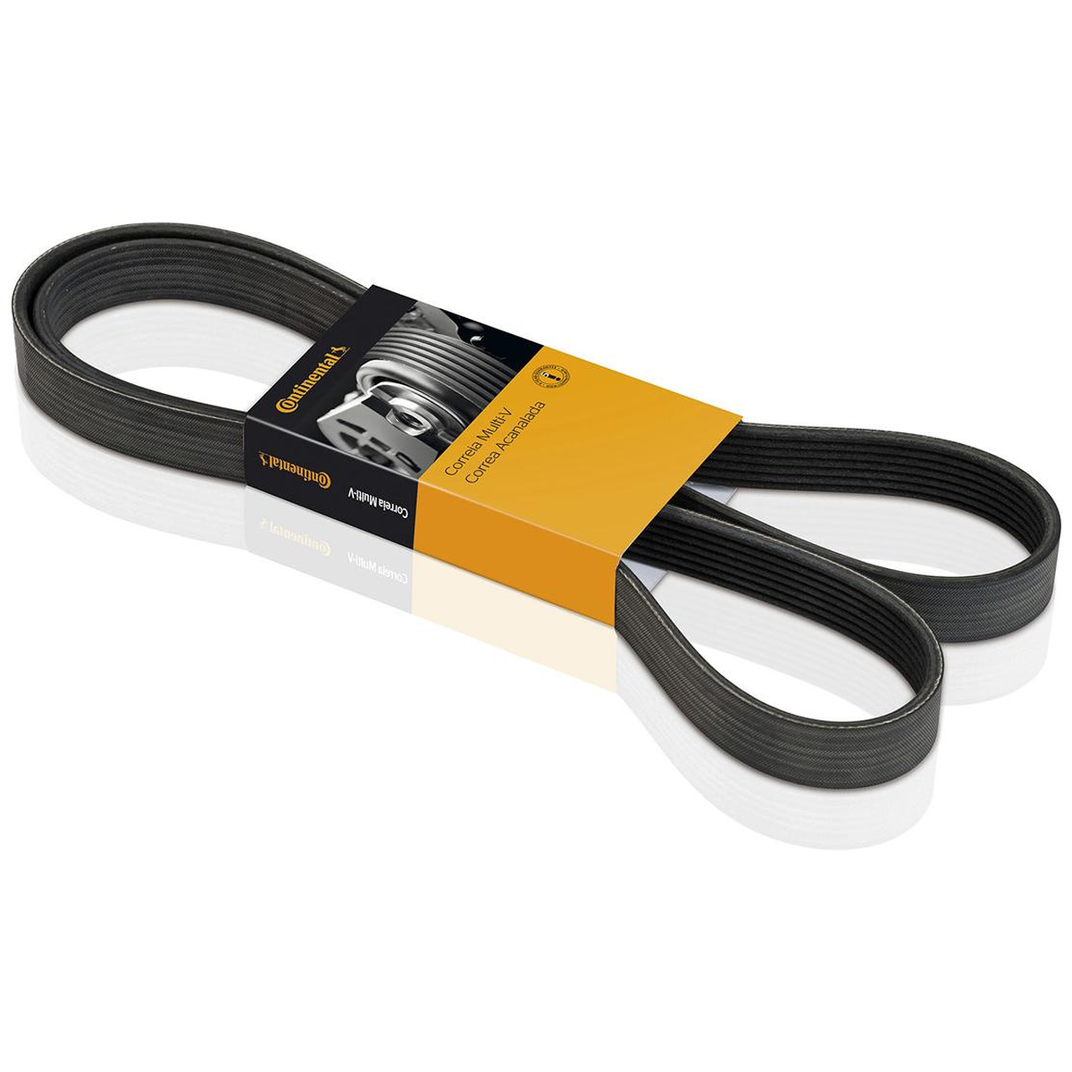 Correia Multi V CONTITECH 5PK1813 Idea Stilo
