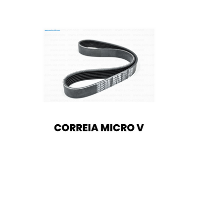 Correia Micro-V Frontier 2017 - Imagem 2
