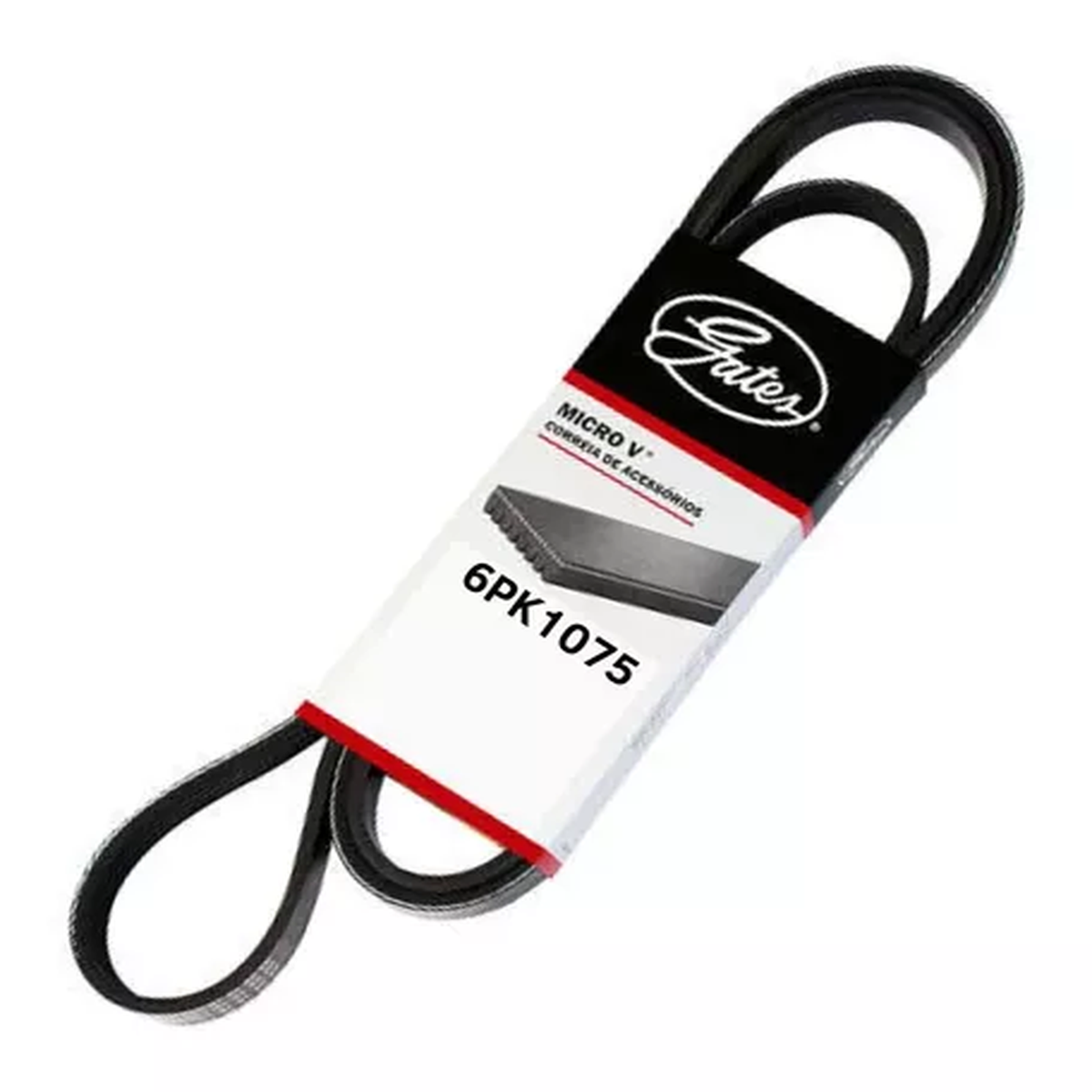 CORREIA POLY-V VOLKSWAGEN | BMW 6PK1075