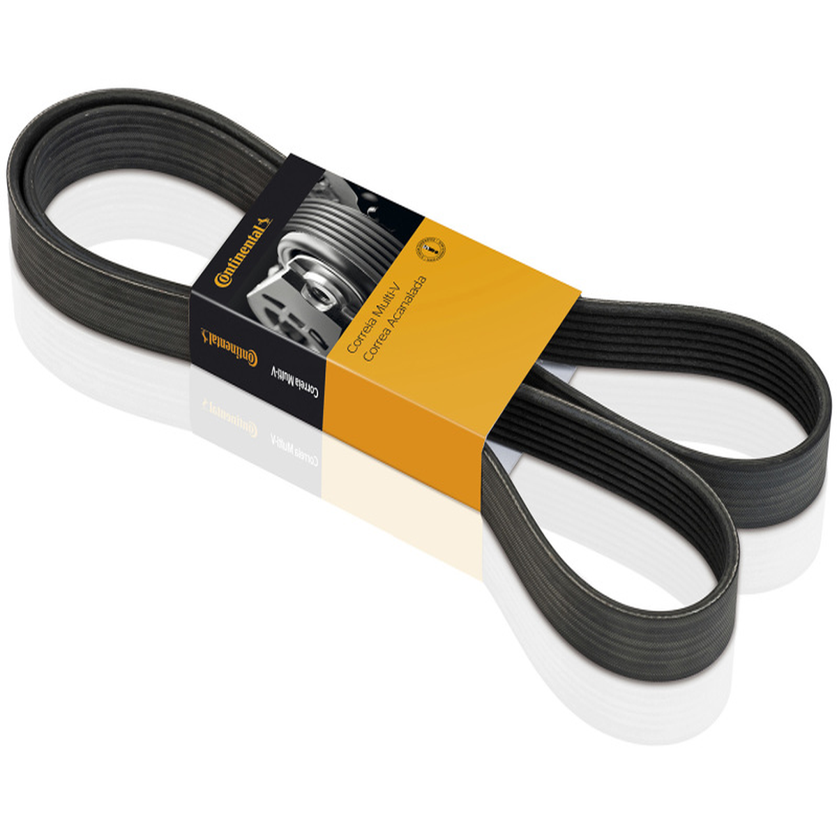 Correia Multi V CONTITECH 6PK1699 R19 Fox