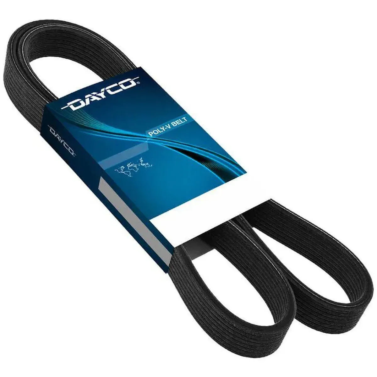 Correia Poly-V VW Caravelle T4 2.4L