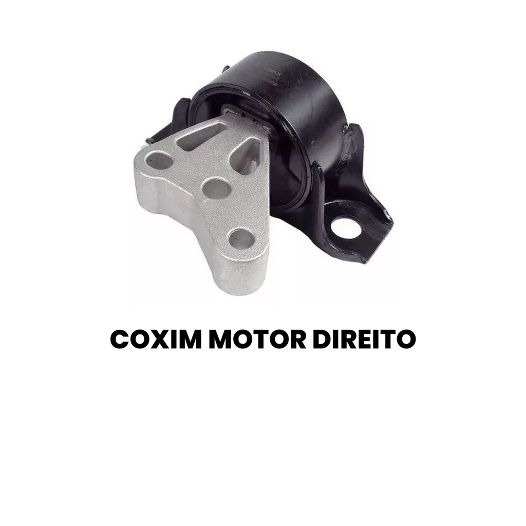COXIM MOTOR DIANTEIRO DIREITO RENAULT 77919 - Imagem 2