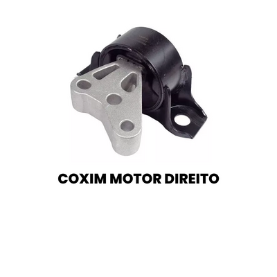 COXIM MOTOR DIANTEIRO DIREITO RENAULT 77919 - Imagem 2