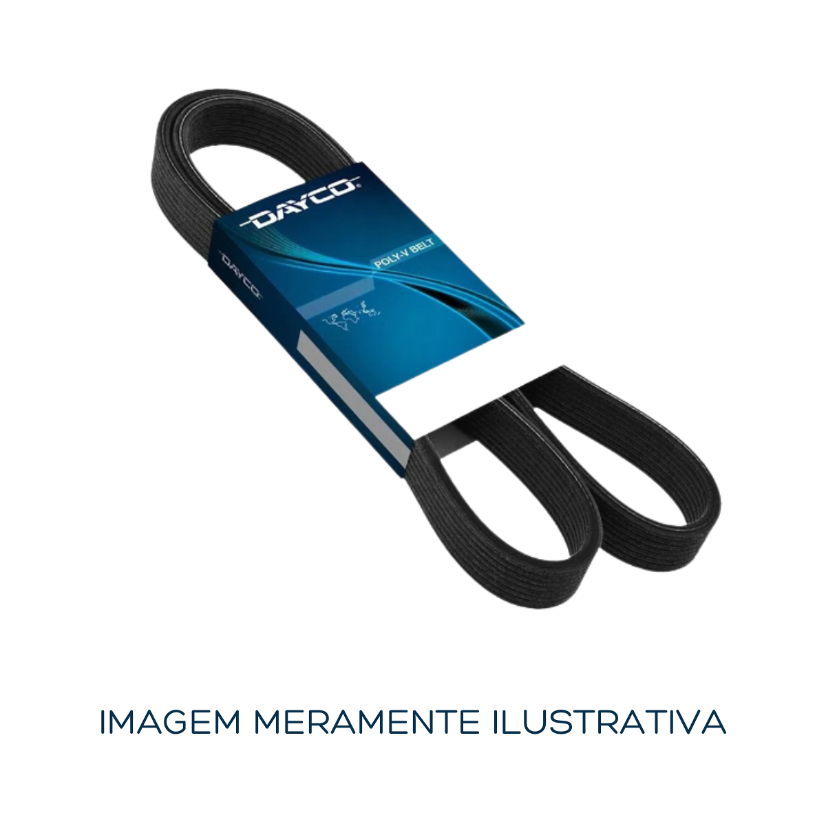 Correia Micro V Dayco 7PK1070 DUCATO