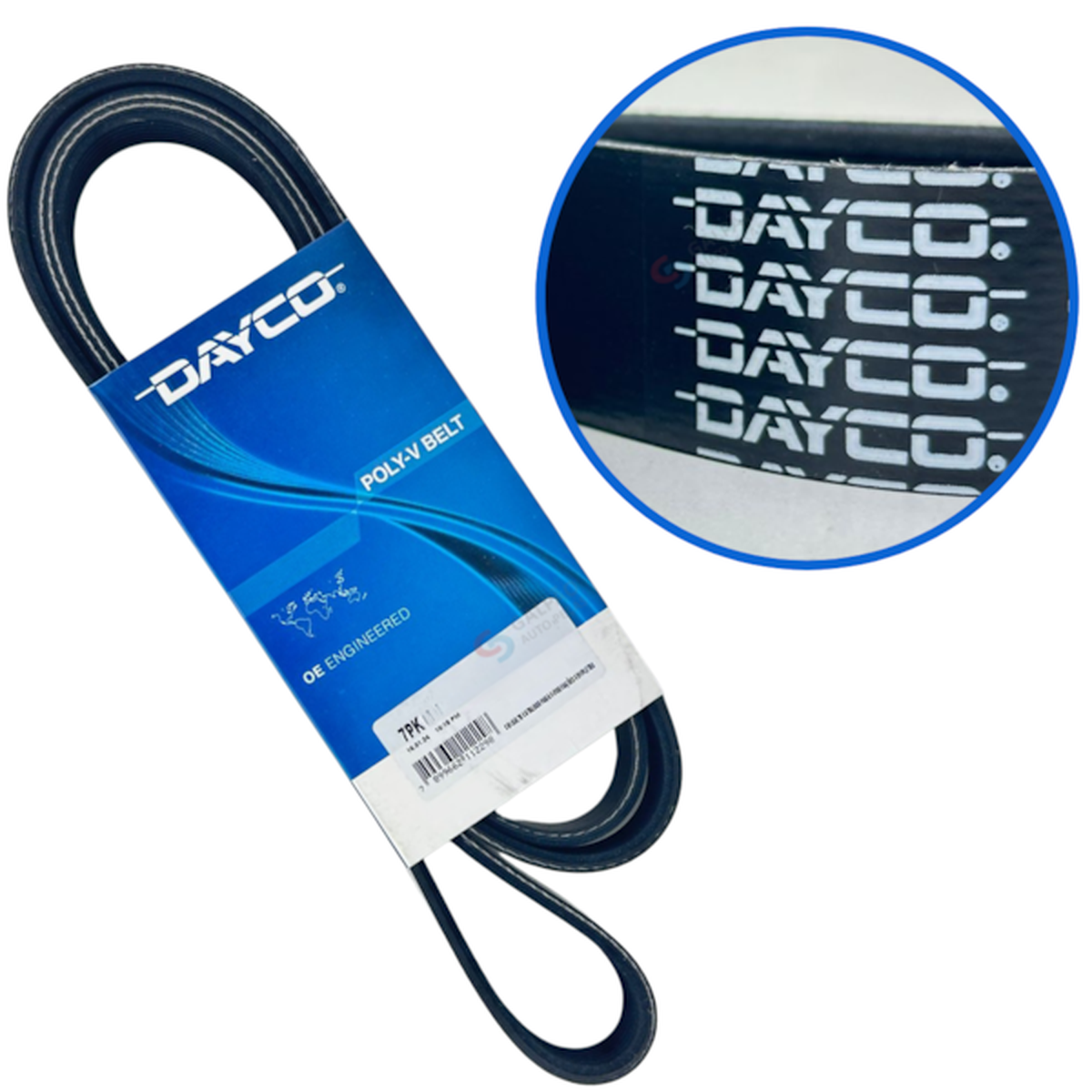 Correia Micro V Dayco Sprinter