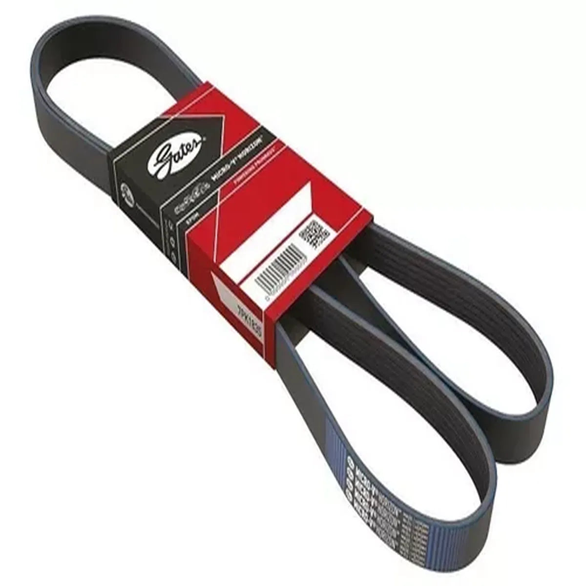 Correia em V Ford Transit 2.4L 16V 2009-2011